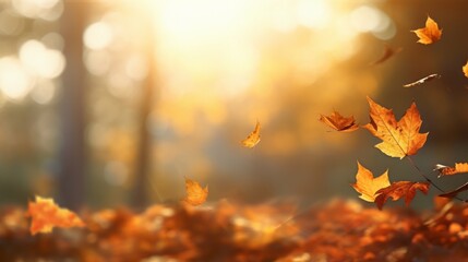 falling leaves autumn, natural background, sun, orange, yellow, beautiful autumn landscape, high quality 16:9