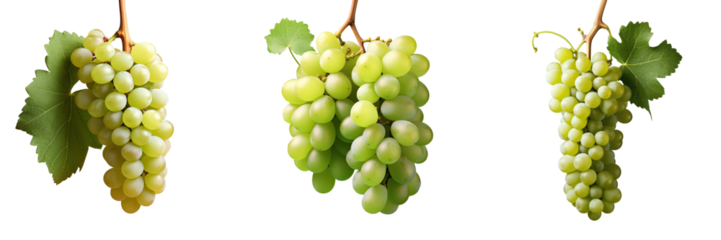 cluster of white grapes on a transparent background