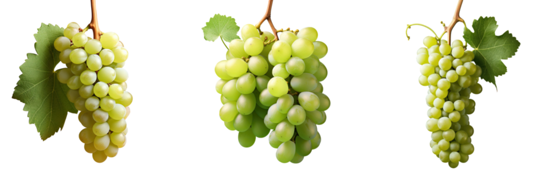 cluster of white grapes on a transparent background