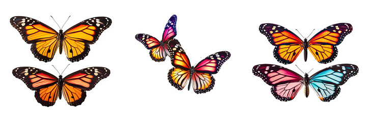 Three vibrant monarch butterflies standing out on a transparent background