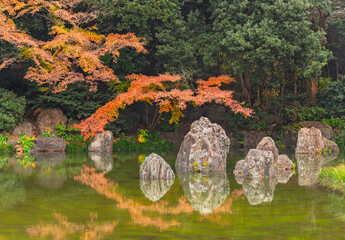 japan, osaka - dec 4 2022: Landscape of autumn red momiji maple trees reflecting in the pond Miyama...