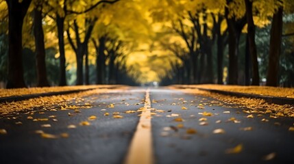 Naklejka na ściany i meble road in autumn