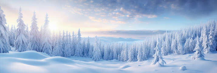 Winter landscape panorama with snow