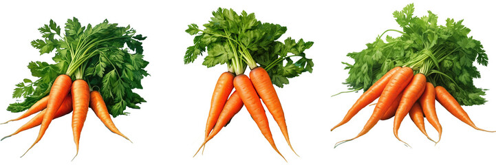 carrots with leafy greens transparent background