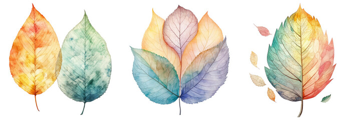 Ash colored watercolor leaf transparent background
