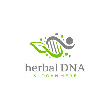 Human DNA leaf logo design vector. Health care symbol template.