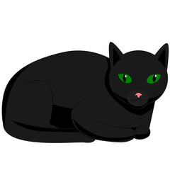 black cat