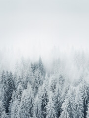 Fototapeta na wymiar Beautiful snowy forest in winter