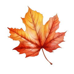 Obraz premium Fall maple leaf isolated on white background. Watercolor illustration created with Generative Ai technology