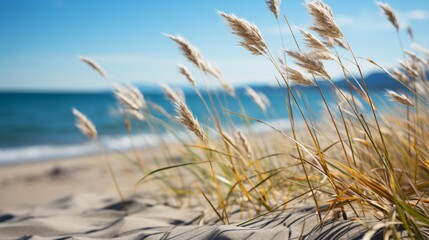Beach grass on a sandy beach with the blue water in the background. Generative AI. 