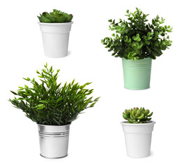 Set of artificial plants in flower pots isolated on white