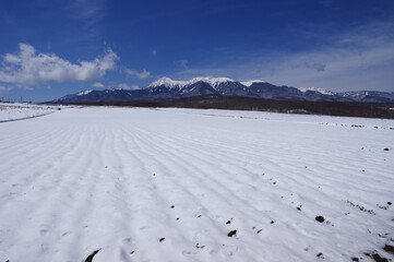 Fototapeta na wymiar 雪解けを待つ高原野菜畑と冬姿の八ヶ岳連峰