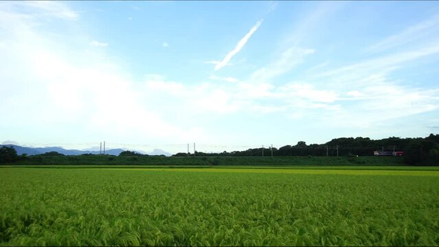 EF65形電気機関車に甲種輸送される東京メトロ2000系 （東海道本線 稲枝 - 能登川, 2023年9月）
