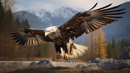 Flying eagle, AI generated Image