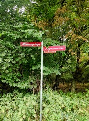signpost in the forest