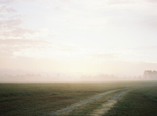 Foggy sunset in the country 