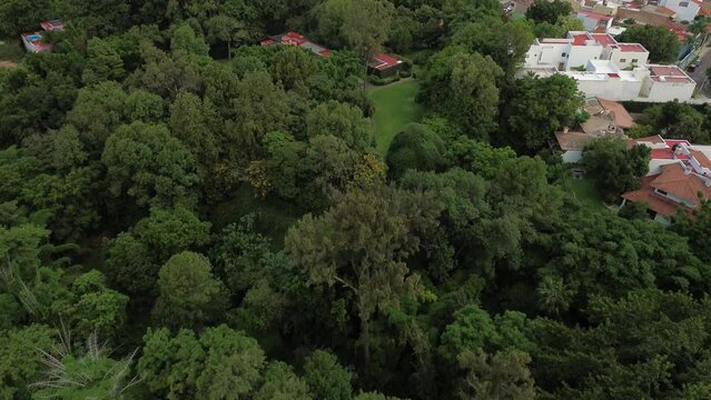 cuidad Zapopan Jalisco M&eacute;xico bosque arboles  verdes y edificios modernos del centro comercial
