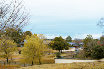 Nara park traditional temple at autumn in Nara, Japan