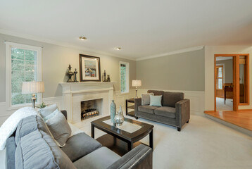 Modern residential living room interior