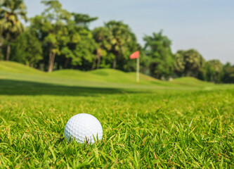 Golf ball on the green in the golf course