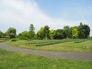 北海道ガーデン街道十勝ヒルズ