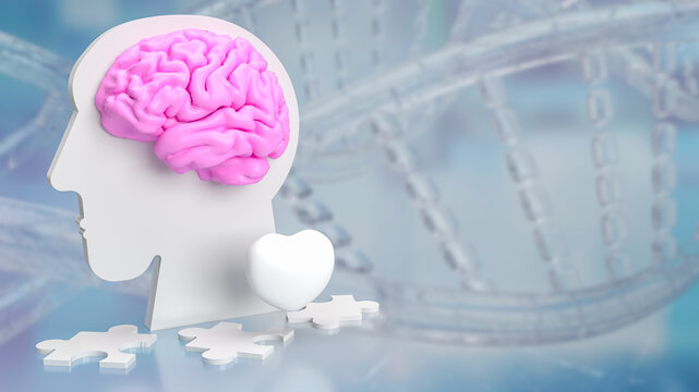 The bust head and brain for sci or medical concept 3d rendering