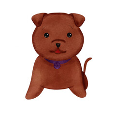 Cute brown dog on white background.