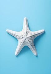 A Pop Art Ode to the Ocean: A Minimalist Starfish in Vibrant Hues" - This image celebrates the beauty of marine life, featuring a starfish in bold pop art style with minimalist elements.