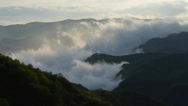 time-lapse, clouds,mountains,valley,fogs,trees,forest,flowing,rising,flying, morning,sunlight