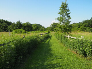 北海道ガーデン街道十勝千年の森