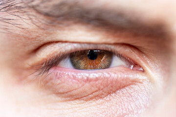 The brown-green eye of a young male. Vision and health care. Close-up.