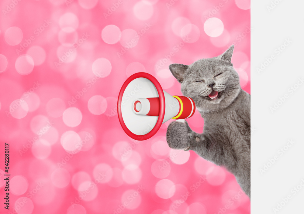 Poster Happy cat meowing into megaphone and looks from behind empty white banner. Shade trendy color of the year 2023 - Viva Magenta background