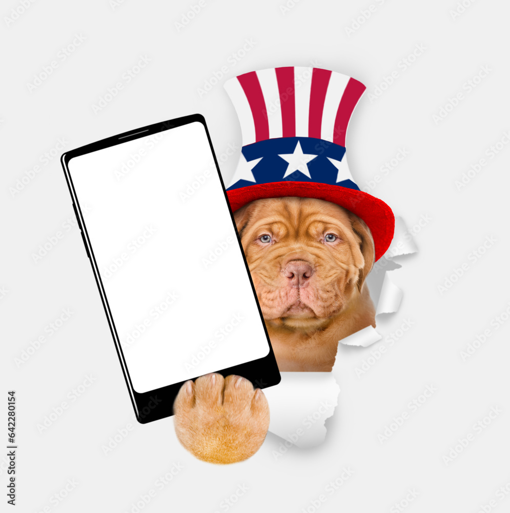 Poster serious mastiff puppy wearing like uncle sam looking through a hole in paper and showing big smartph