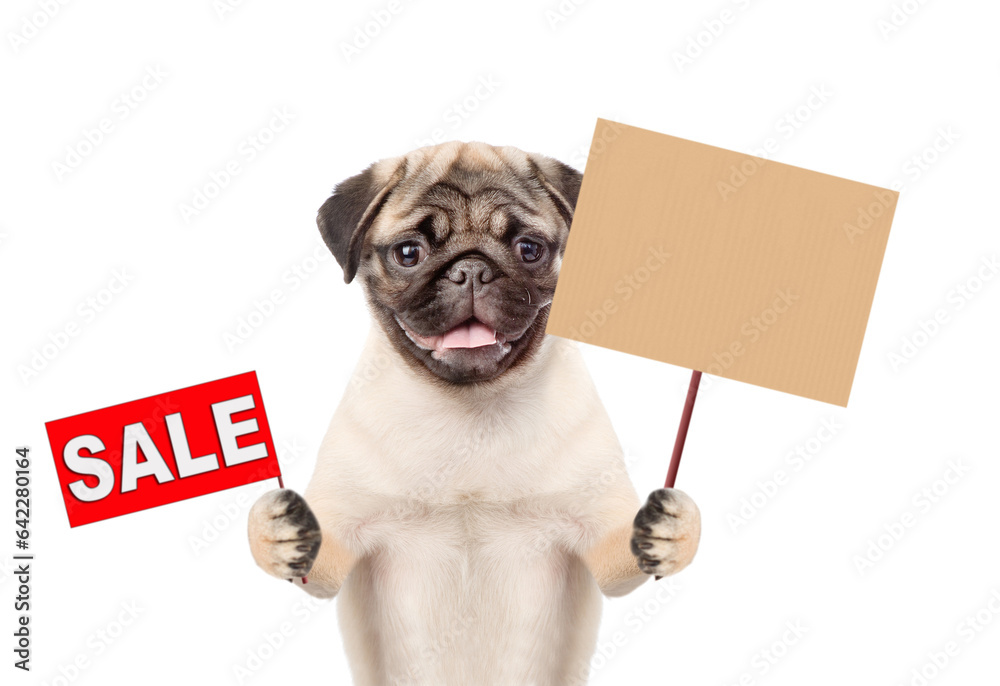Poster pug puppy holds signboard with labeled 