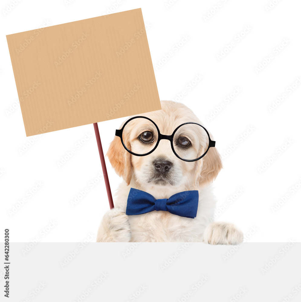 Poster funny smart golden retriever puppy wearing eyeglasses and tie bow shows empty placard above empty wh