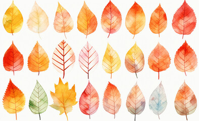 リーフ　美しい飾り罫　秋の水彩背景イラスト　Generative AI
