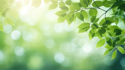 green leaves background