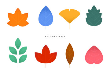 Various fallen leaves set, Colorful autumn concept. Maple tree leaf. Fall foliage decoration, Seasonal holiday thanksgiving greeting card. Trendy style design Simple flat vector isolated illustration. - 642288153