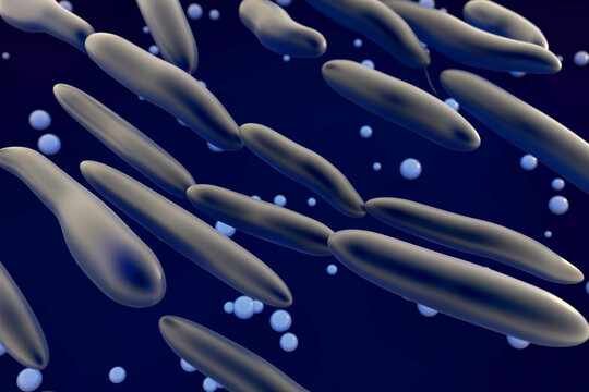 Alcanivorax borkumensis is an alkane-degrading marine bacterium which naturally propagates and becomes predominant in crude-oil-containing seawater. 3d illustration
