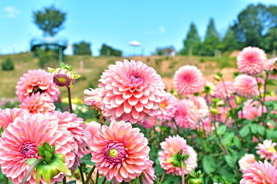 Τα Παιχνίδια