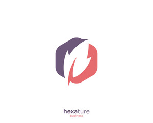 Fototapeta premium Simple colorful hexagon leaf logo