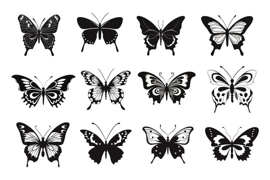 silhouettes of butterflies, animal nature wildlife vector illustration