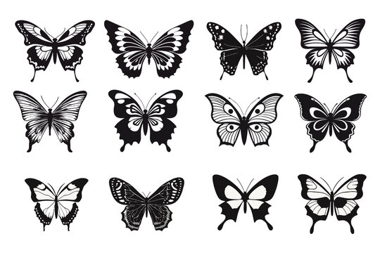 silhouettes of butterflies, animal nature wildlife vector illustration background