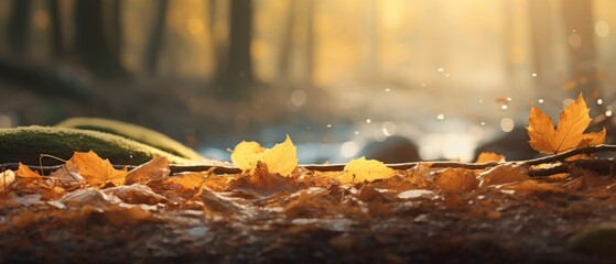 A mesmerizing autumn web banner with golden leaves gently falling in a sunlit forest