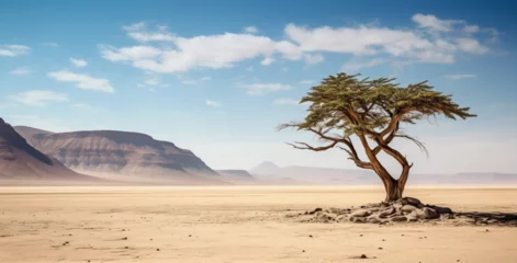 Deurstickers A trees in the desert © M