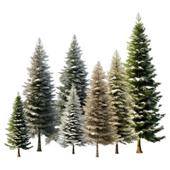 Obraz premium Many Christmas Trees Have a Few Snowflakes. Isolated On a Transparent Background.