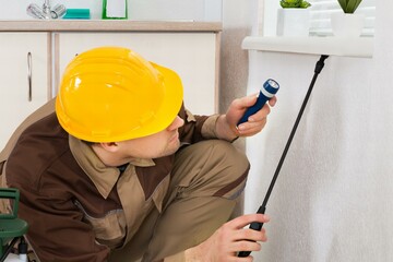 Woman Looking At Worker Spraying Insecticide Under Windowsill