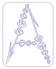 ラベンダーの花のスケッチ風、デザイン文字。「A」。ベクター素材。