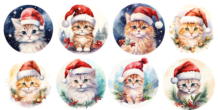 Set of Cute Christmas Cat with christmas hat on transparent background, generated ai