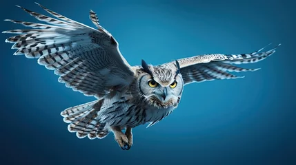 Gordijnen owl in flight © hallowen